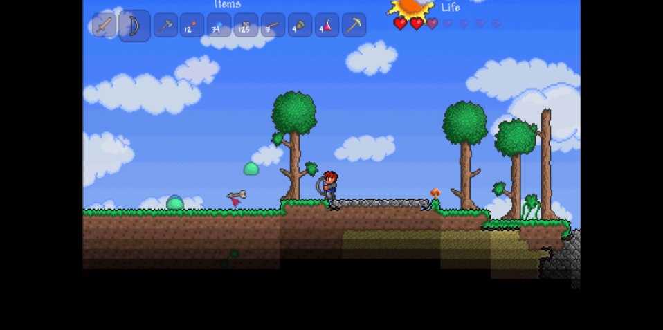    Terraria   -  11