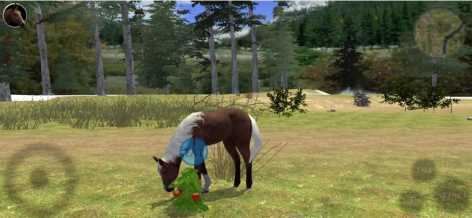 Ultimate Horse Simulator 2 взлом (Mod: много опыта)