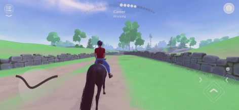 Equestrian the Game взломанный (Мод много денег)